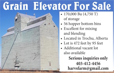 Grain Elevator For Sale 