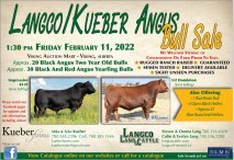 Langco/Kueber Angus Bull Sale