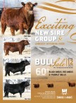 Exciting New Sire Group & Largest Offering Ever