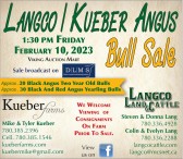 Langco / Kueber Angus Bull Sale