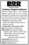 Summer Student Labourer wanted